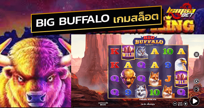 สล็อตเกมควาย BIG BUFFALO