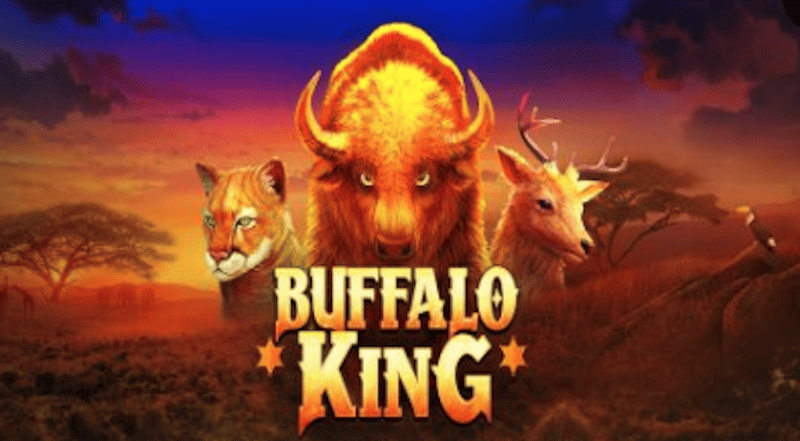 Buffalo King