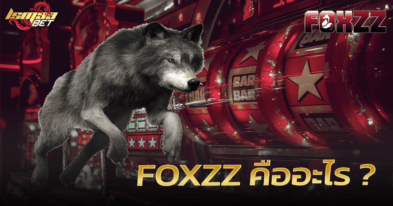 Foxzz คืออะไร